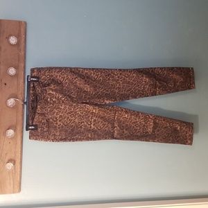 Needle & Cloth Jeans SZ 10